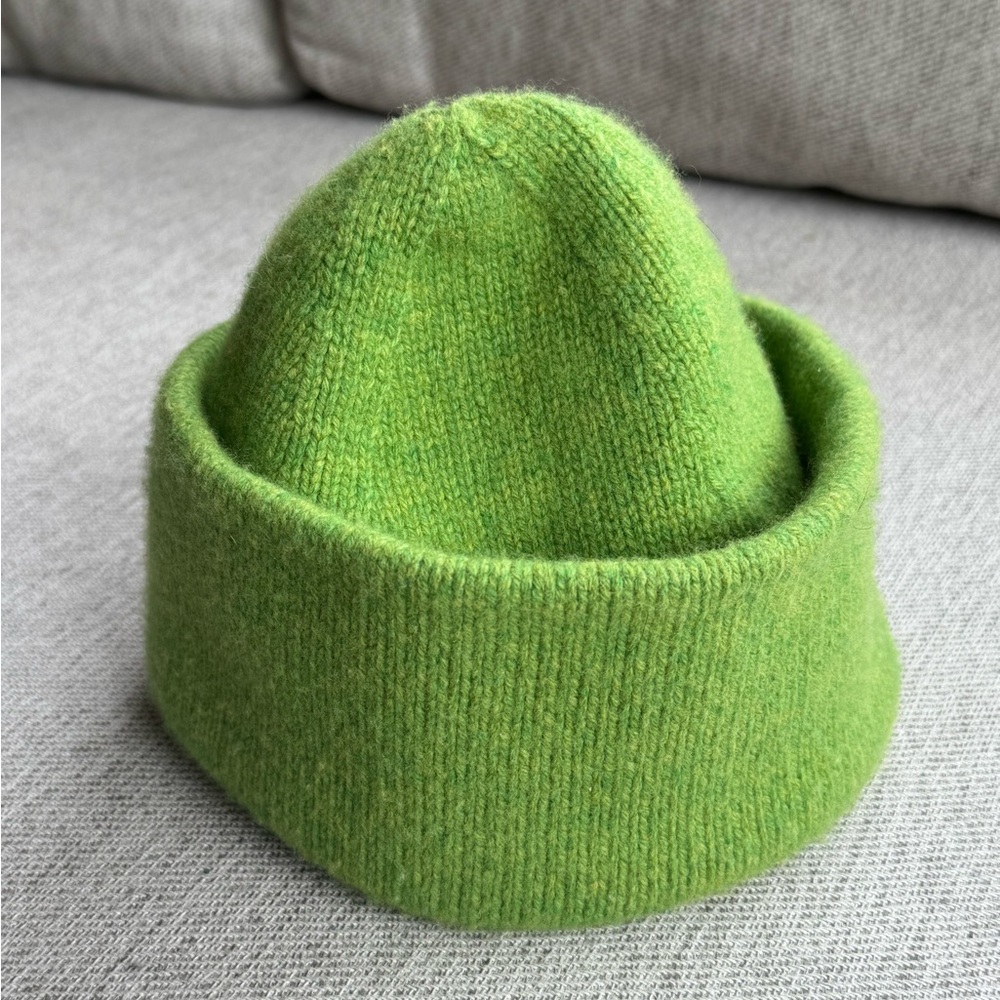 Everlane The Felted Merino Wool Beanie Green